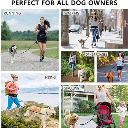 Hands Free Dog Leash And Training Belt