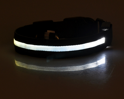 LED Luminous Collar Night