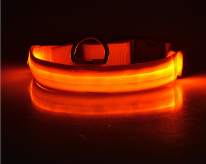 LED Luminous Collar Night