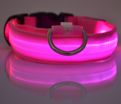 LED Luminous Collar Night