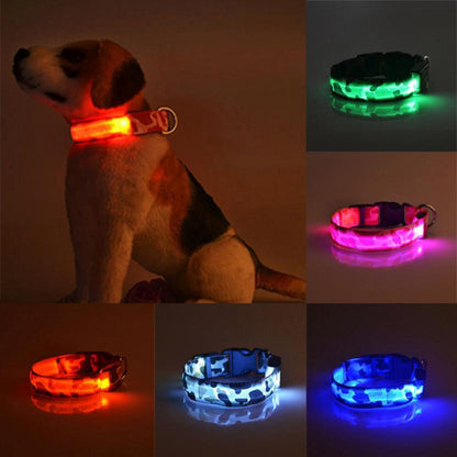 Camouflage luminous collar