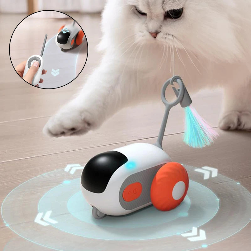 Remote Control Interactive Car Toy