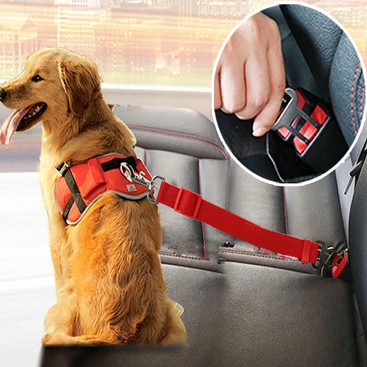 Car Seat Belt