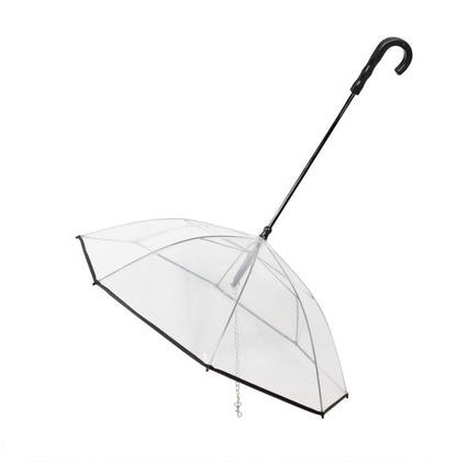 Transparent Umbrella