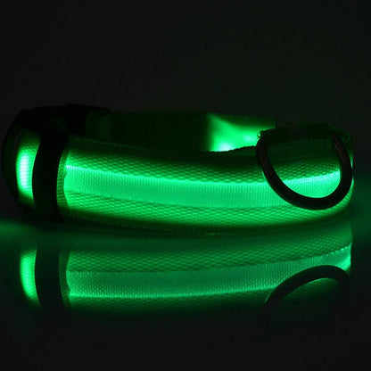 LED Luminous Collar Night