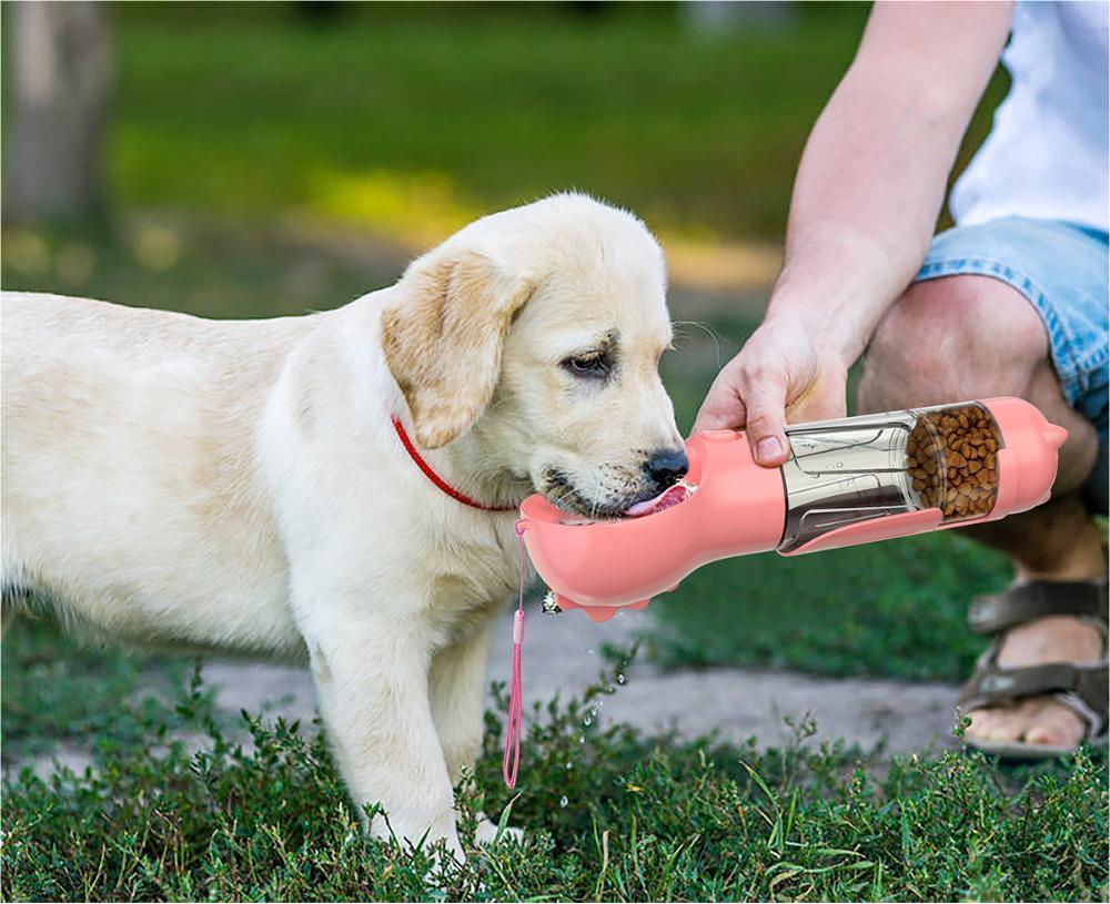 Water Bottle Feeder