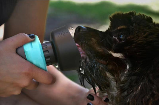 Outdoor BottleWater Dispenser