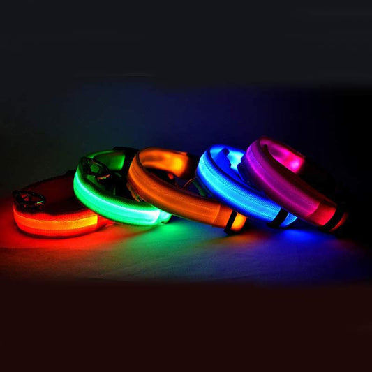 LED Luminous Collar Night