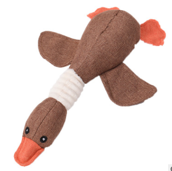 Duck toy