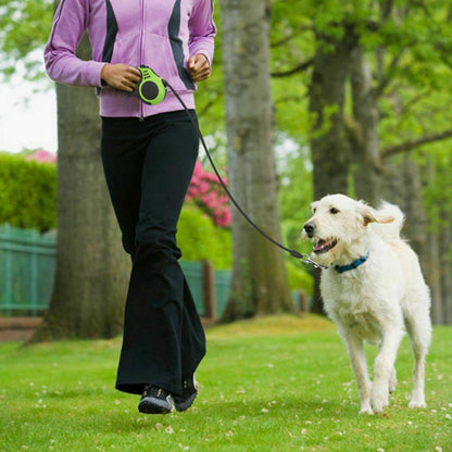 Automatic Dog Leash Collar