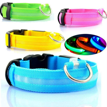 LED Luminous Collar Night