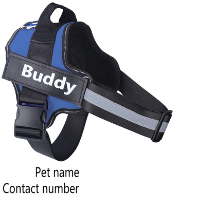 Personalized Dog Harness