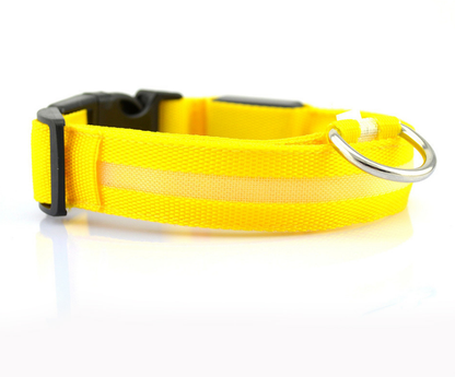 LED Luminous Collar Night