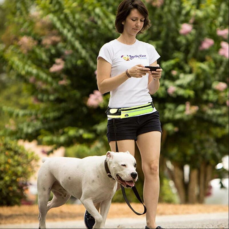 Hands Free Dog Leash And Training Belt