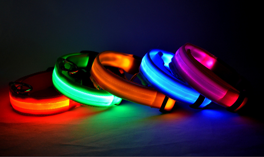 LED Luminous Collar Night