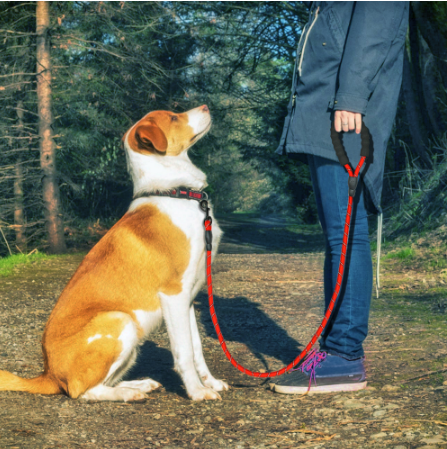 Reflective Leash Nylon Rope