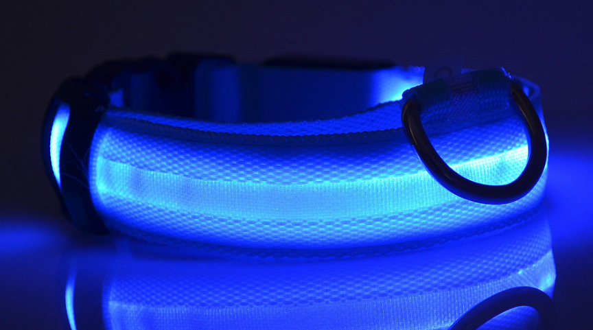 LED Luminous Collar Night