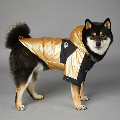 Raincoat Jacket