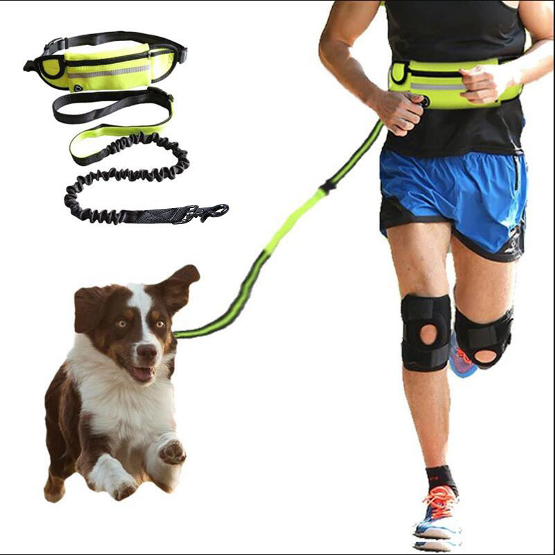 Hands Free Dog Leash And Training Belt