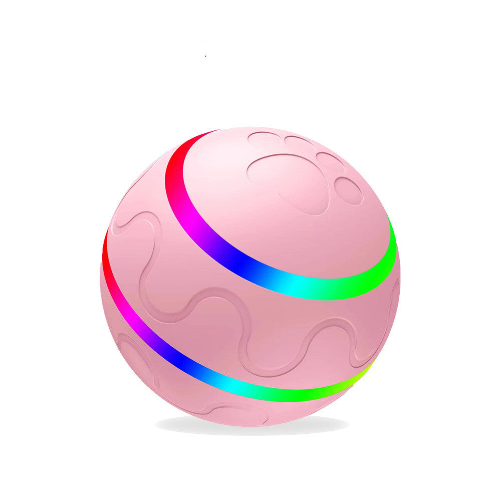 Wicked Ball Toy Intelligent Ball