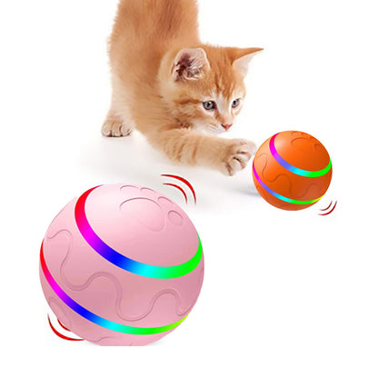 Wicked Ball Toy Intelligent Ball