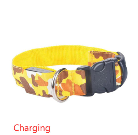 Camouflage luminous collar