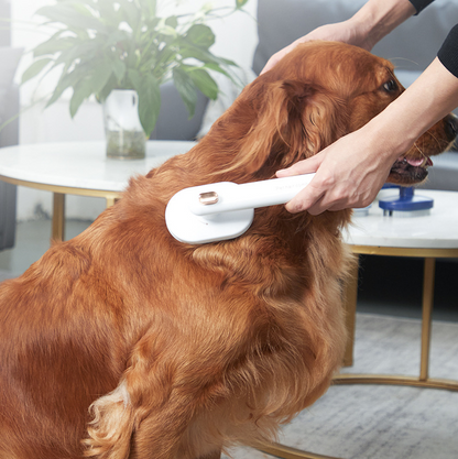 Brush Hair Removal