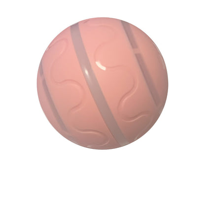 Wicked Ball Toy Intelligent Ball