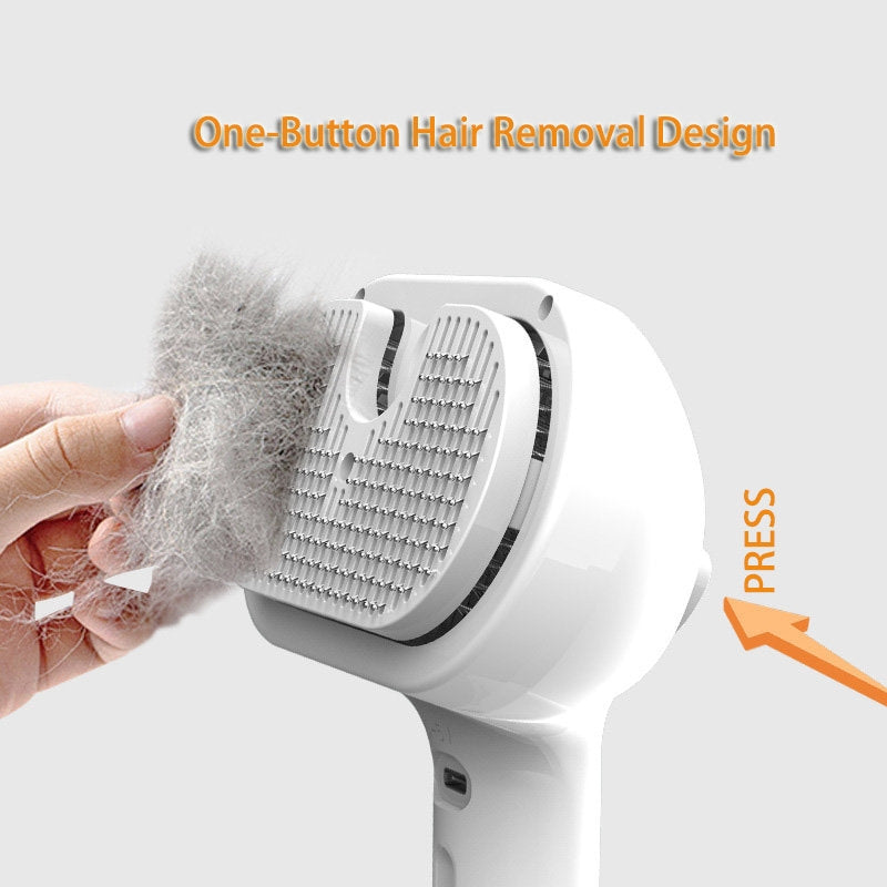 Hair Remover Brush