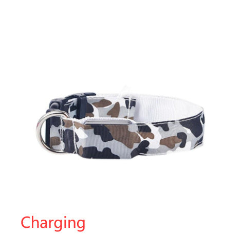 Camouflage luminous collar