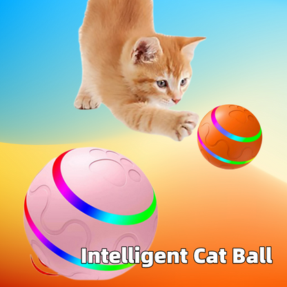 Wicked Ball Toy Intelligent Ball